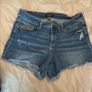 Judy Blue Women's Plus size 1XL Blue Denim Shorts